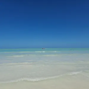 luna-y-sol-glamping-holbox.quintano-roohotels.com/